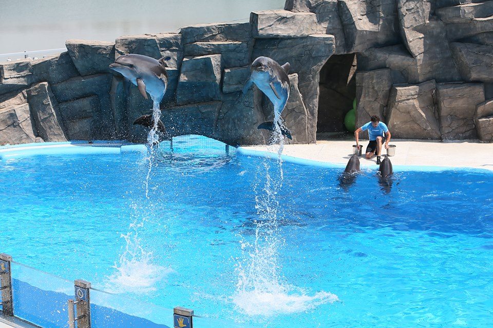 %e1%83%91%e1%83%90%e1%83%97%e1%83%a3%e1%83%9b%e1%83%98%e1%83%a1-%e1%83 ...