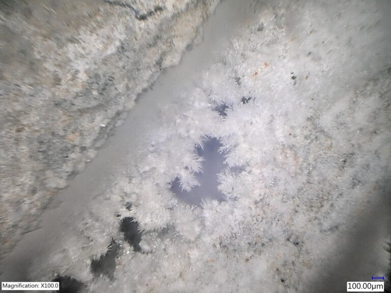 მიკროსკოპული ფოტო, რომელიც აჩვენებს პენეტრონის ნემსისებრი კრისტალების ზრდას ბეტონის ფორებში x100 გადიდებით.